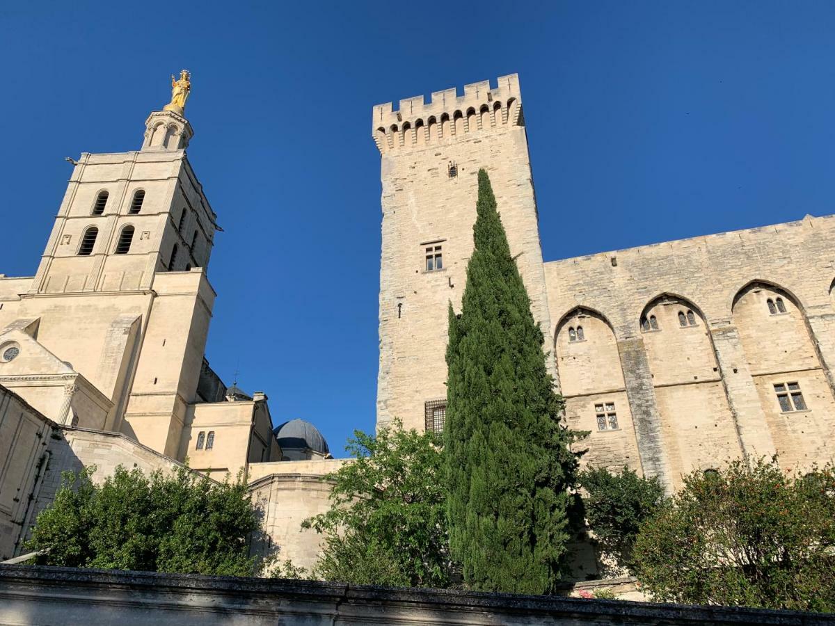 Face Au Palais Des Papes Apartment Avignon Bagian luar foto